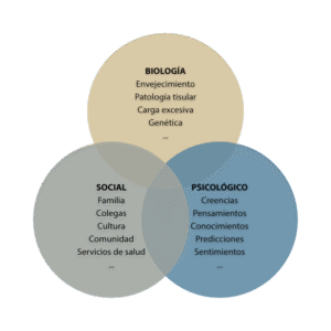 Modelo biopsicosocial